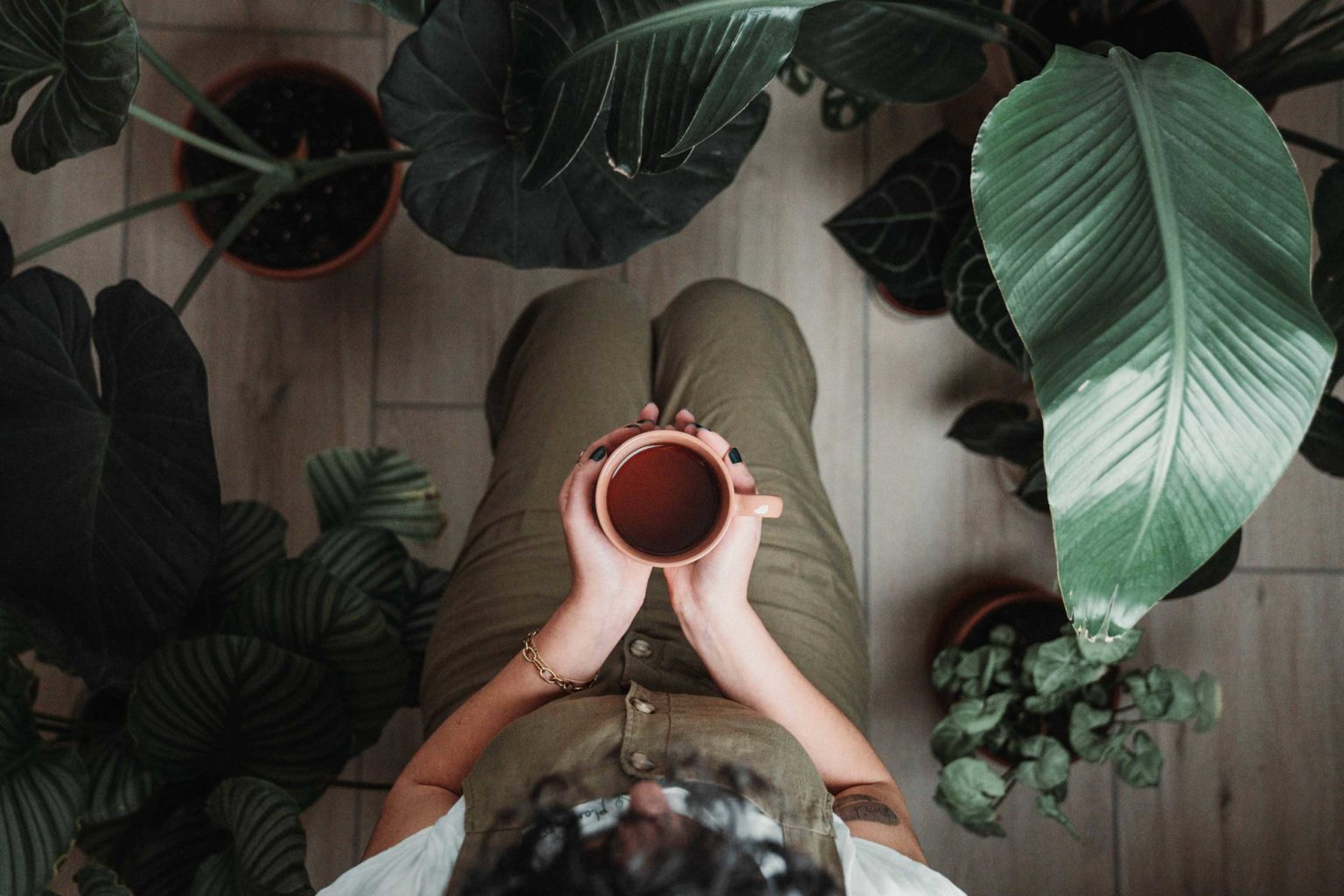 Ml coffee 2